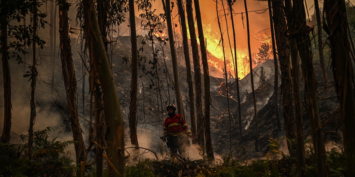 Forest fires Portugal