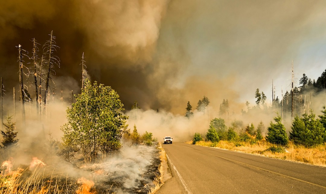 incêndios florestais com fumo
