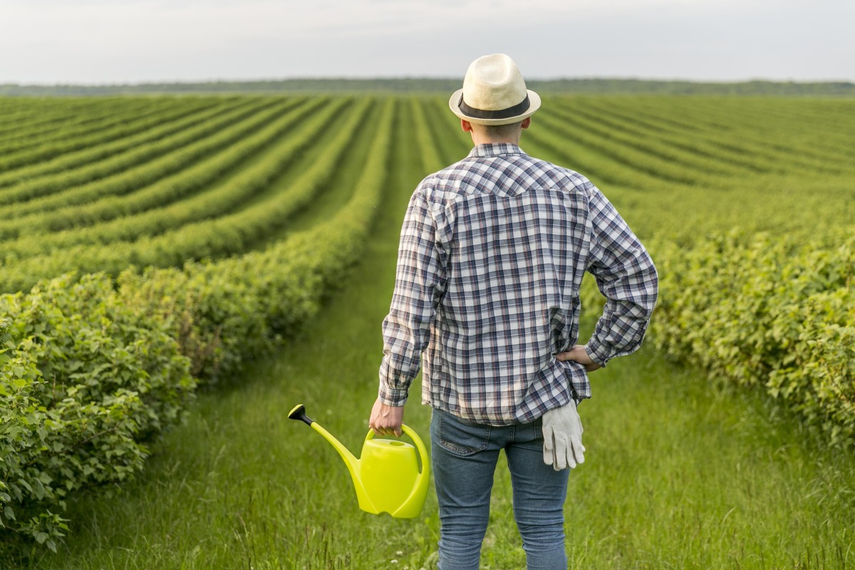 Apoios a agricultores