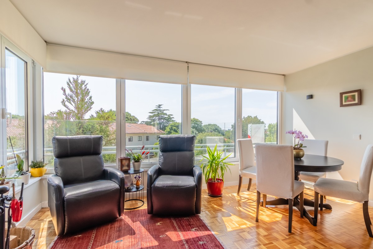 sala decorada com plantas