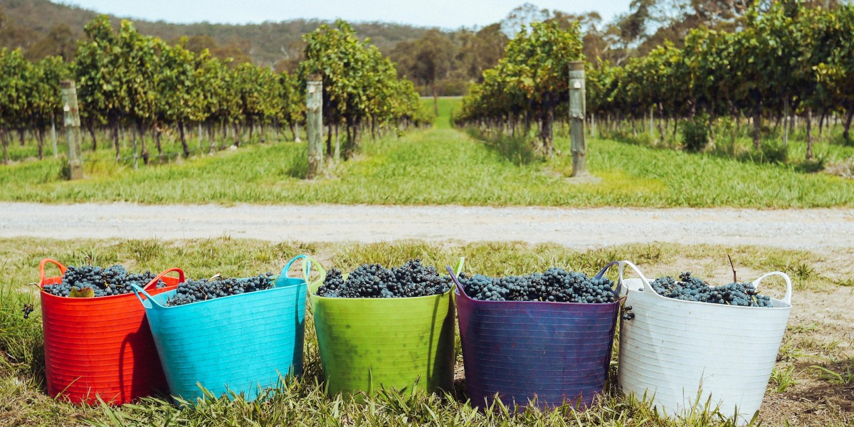 Portugal wine festival
