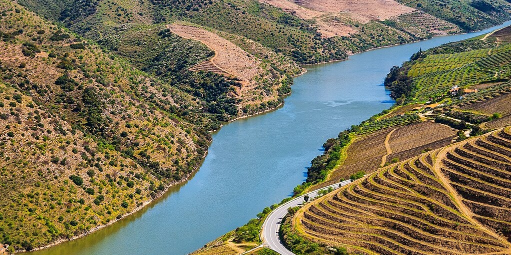 Douro Vinhateiro