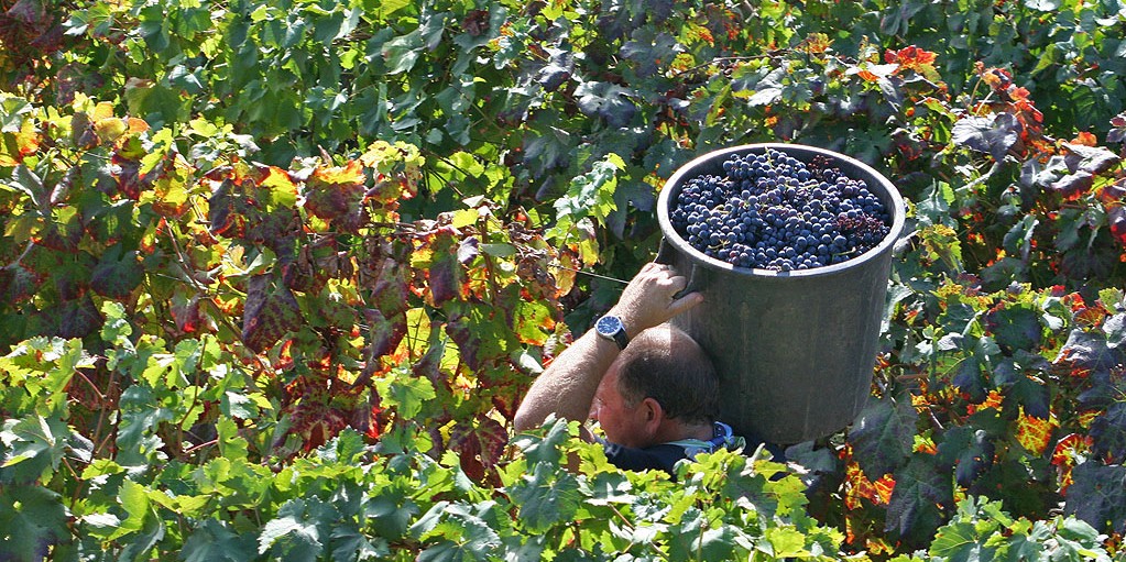 Festivals in Portugal September