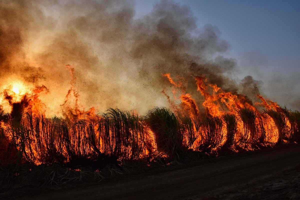 Fumo dos incêndios