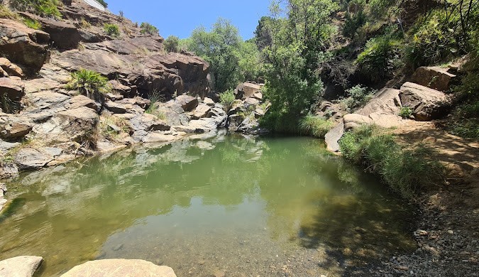 Charco de las Viñas