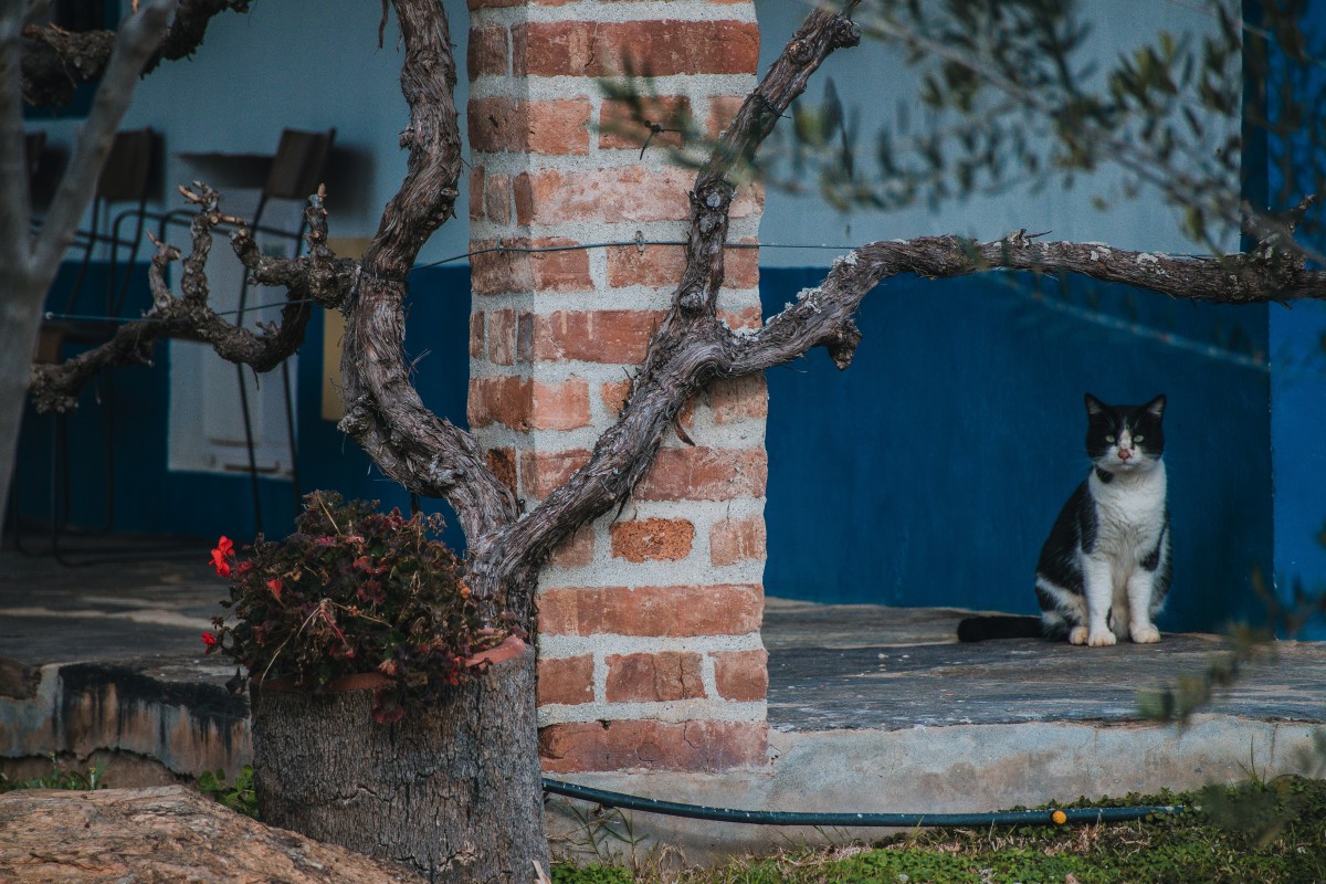 Acheter une maison au Portugal