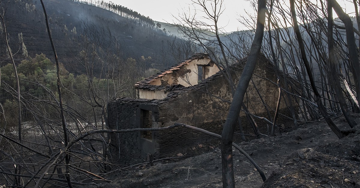 Destruição pelos incêndios