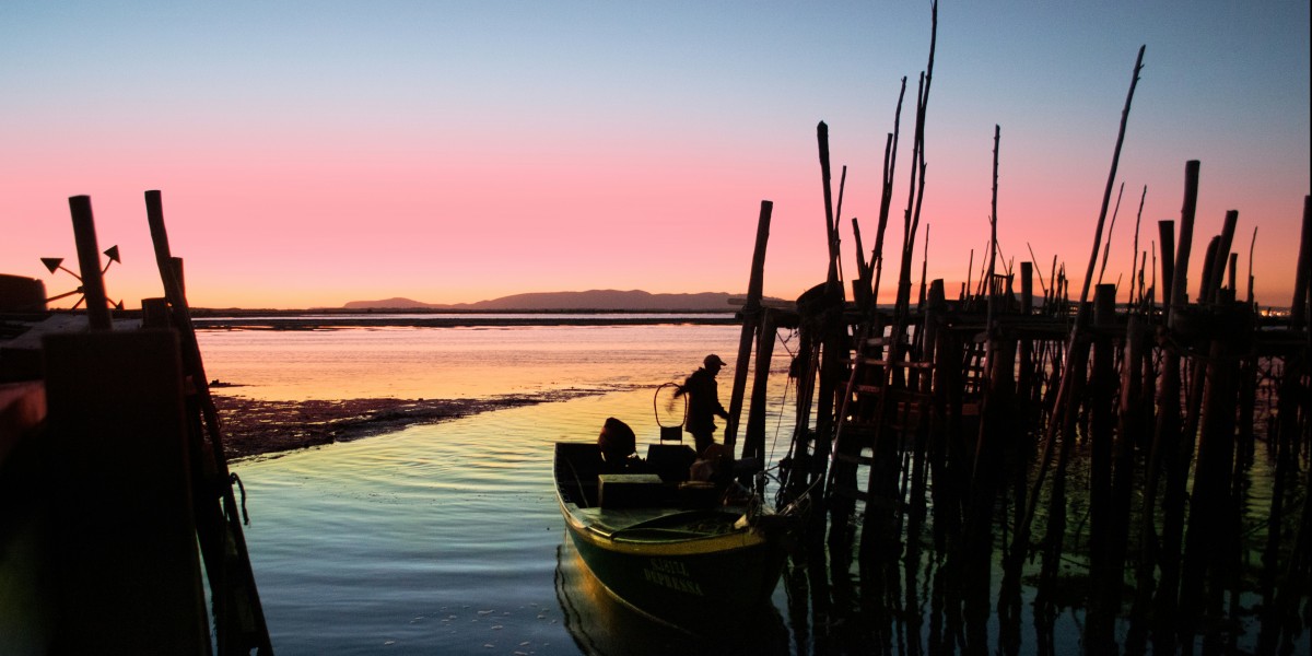 6 day trips from Lisbon