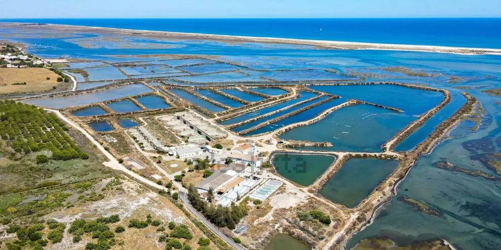 Zonas de luxo em Tavira