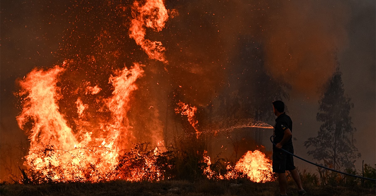 Incêndios florestais em Portugal