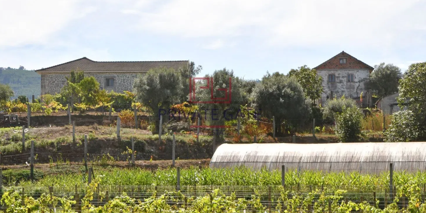 Quinta em Ponte de Lima