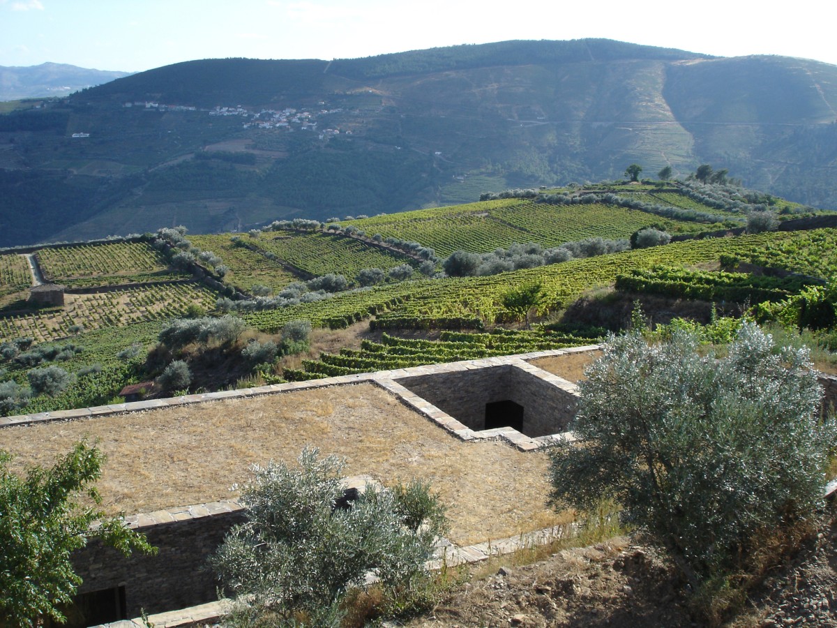 Casa no Douro