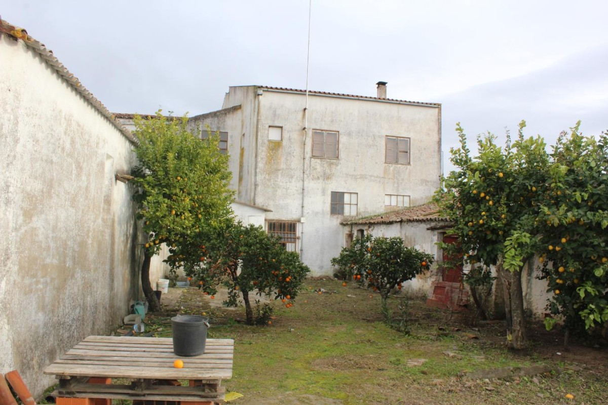 Cooperativa Agrícola da Vidigueira 