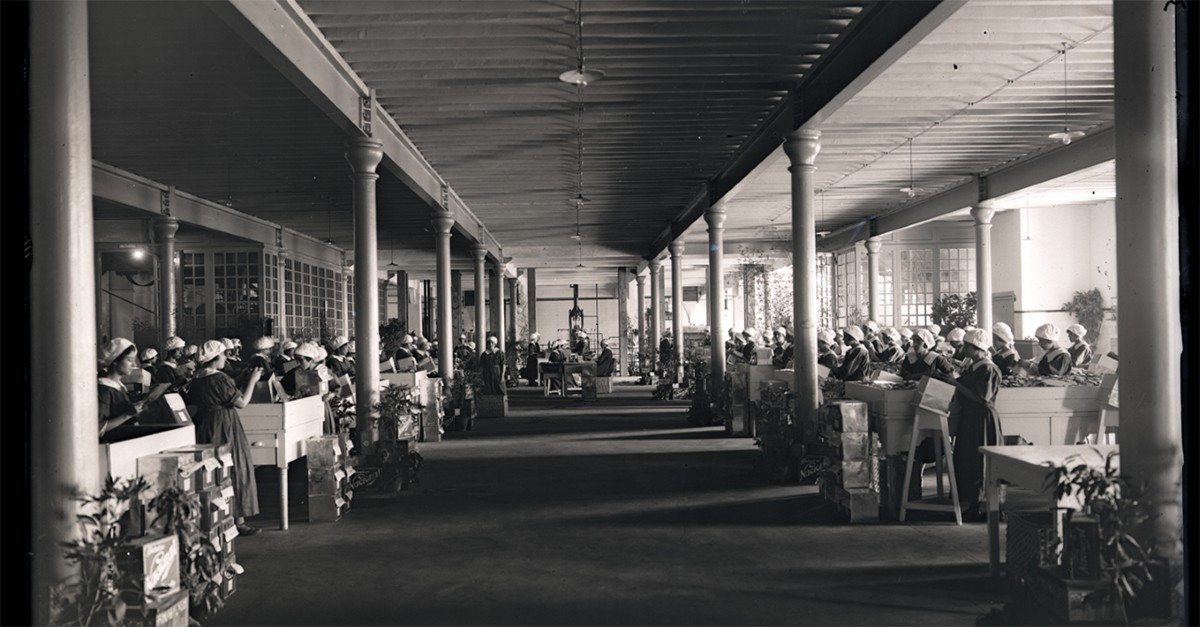 Fábrica transformada em escola