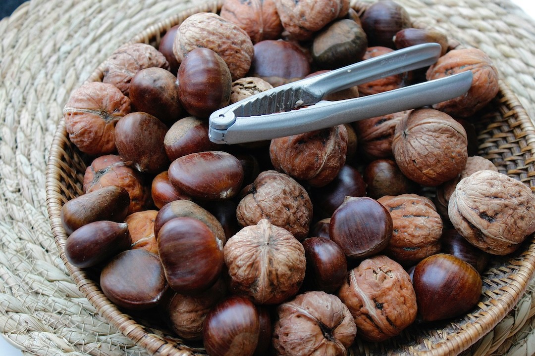 castanhas e nozes