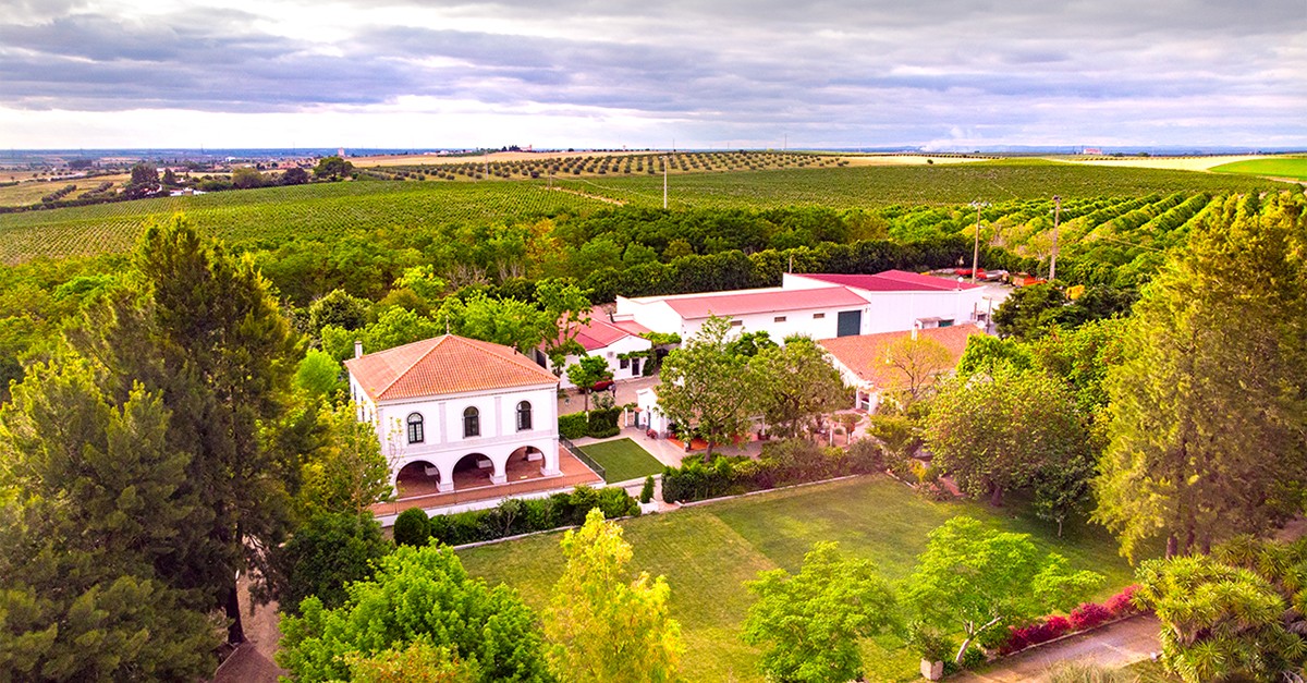 Casas de luxo à venda 