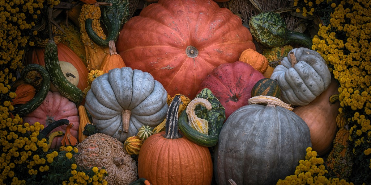 Things to do at Halloween Portugal 2025