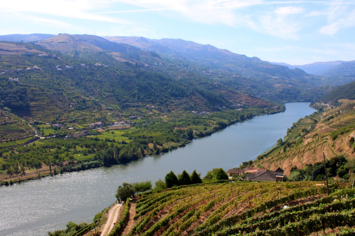 Douro vinhateiro