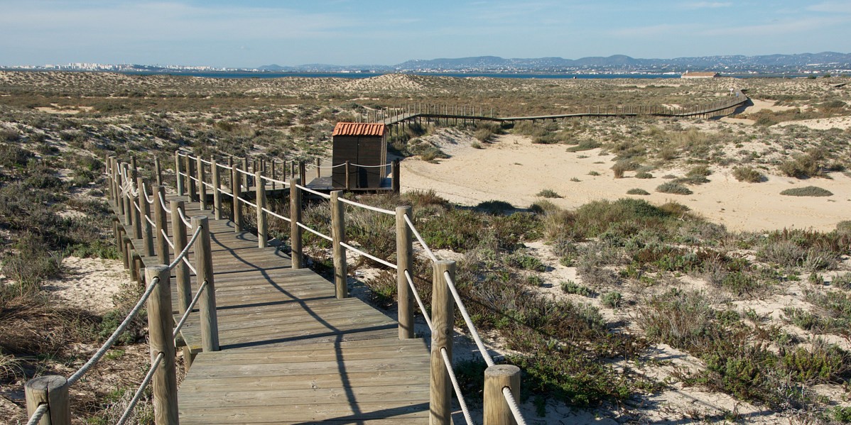 what to do in Olhao