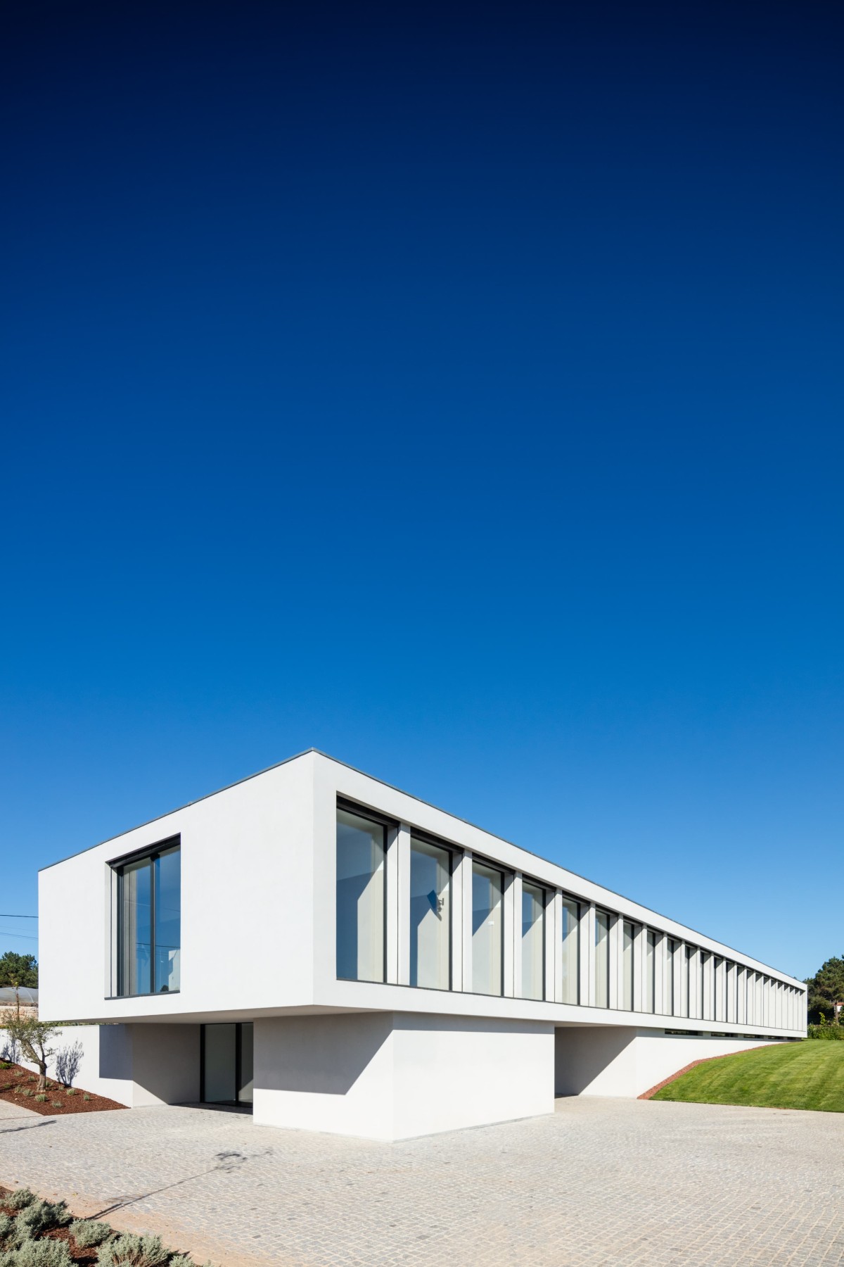 Hotel para cães e gatos