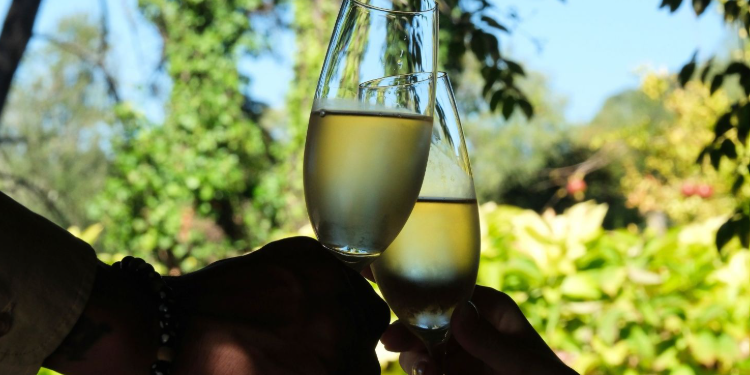 Quinta da Maquia Hotel