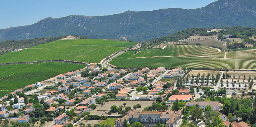 Vila Nogueira de Azeitão