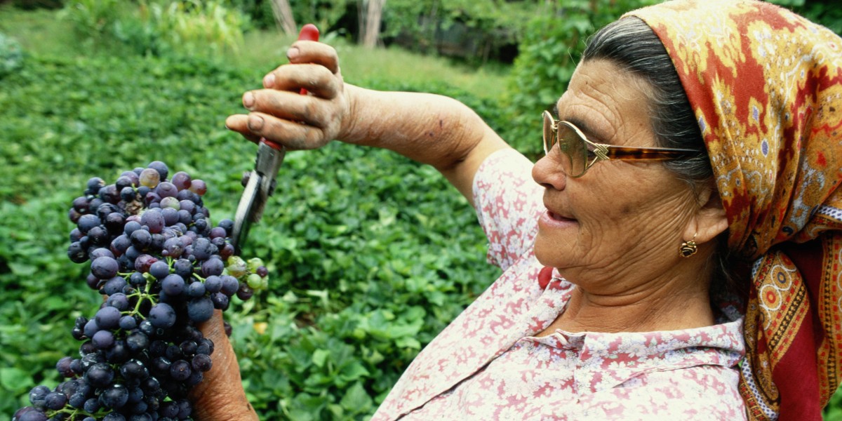 Portuguese wine best in the world