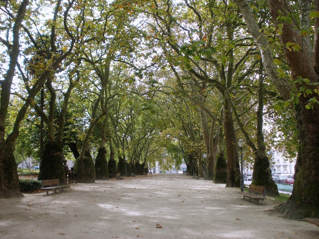 Jardim da Cordoaria