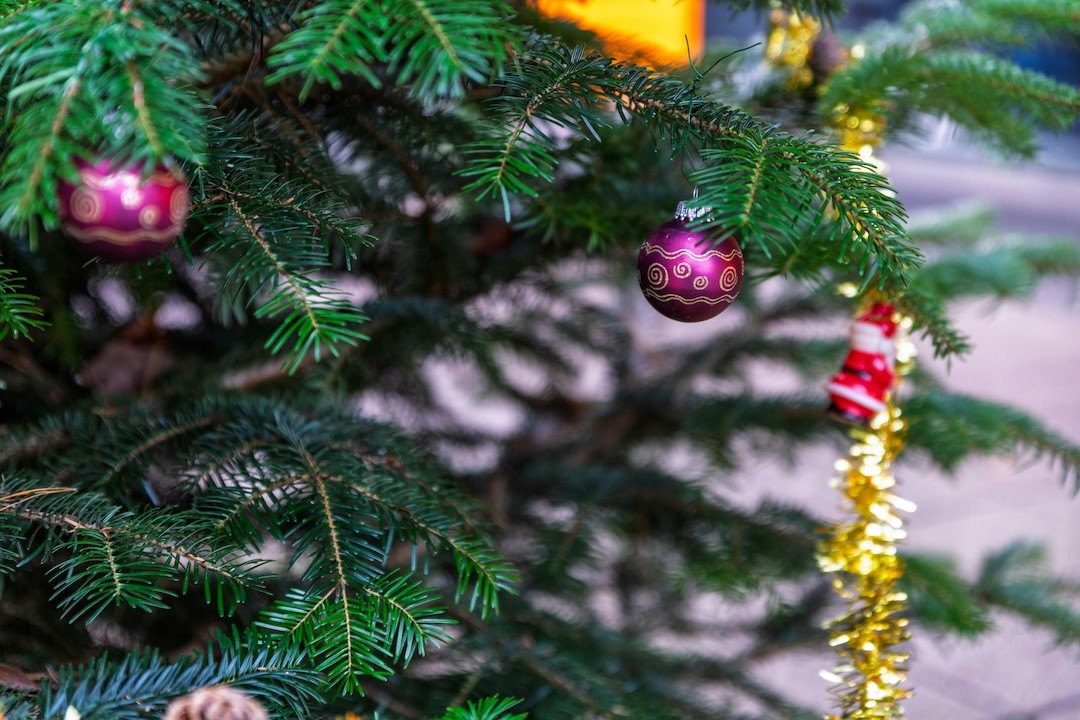 troco de árvore de Natal