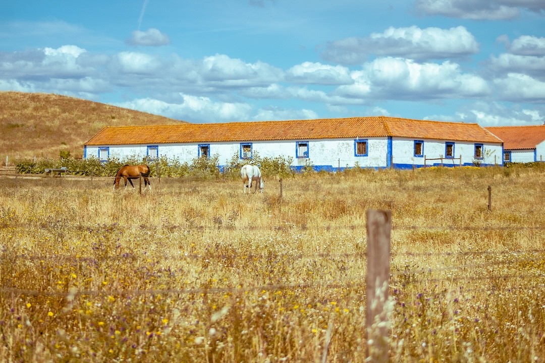 paisagem no Alentejo