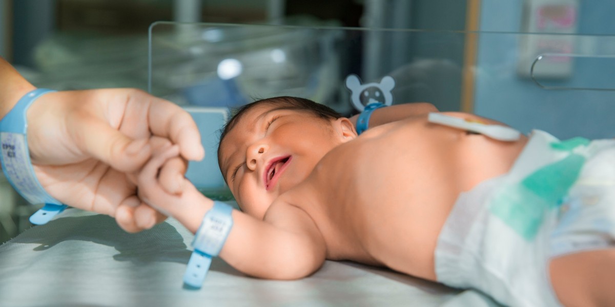 Nascimentos nos últimos dez anos