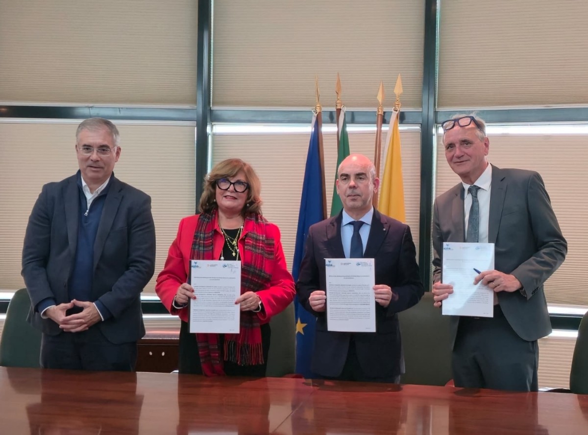 Celebração do protocolo