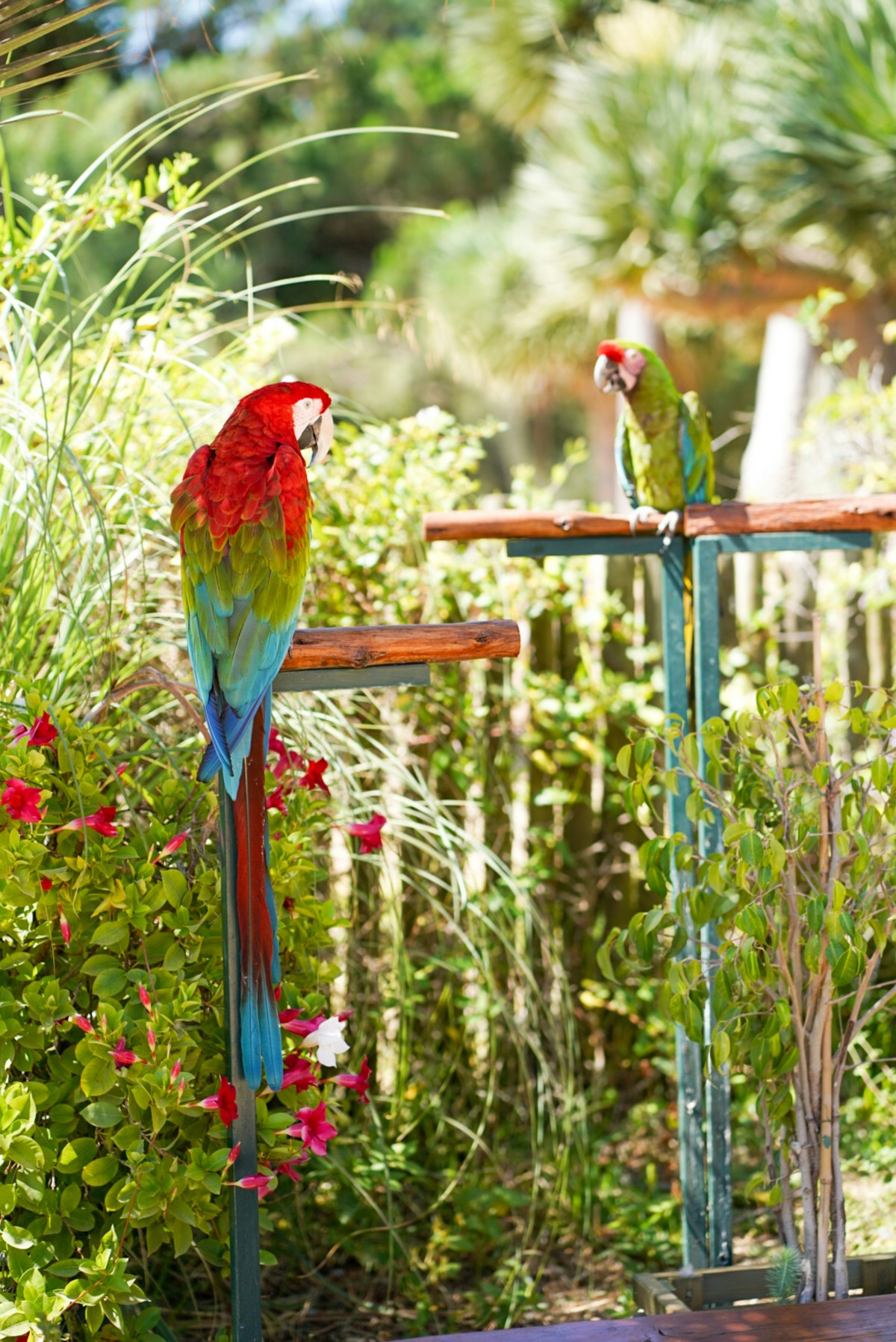 Foto von Miriam Pereira auf Unsplash