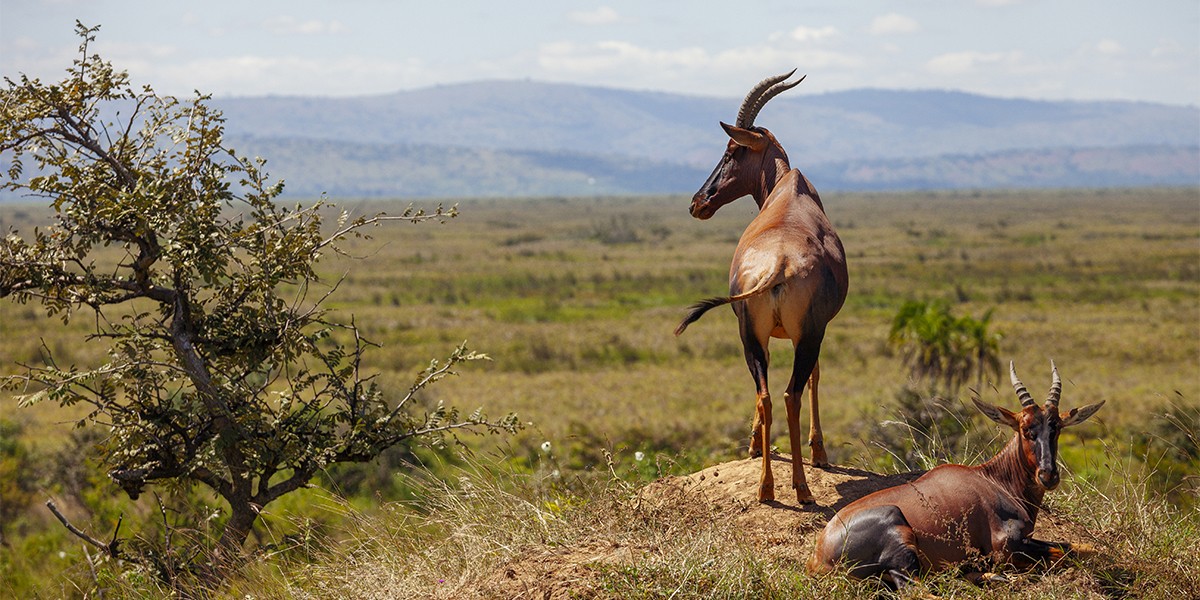 Melhores destinos para viajar em 2026
