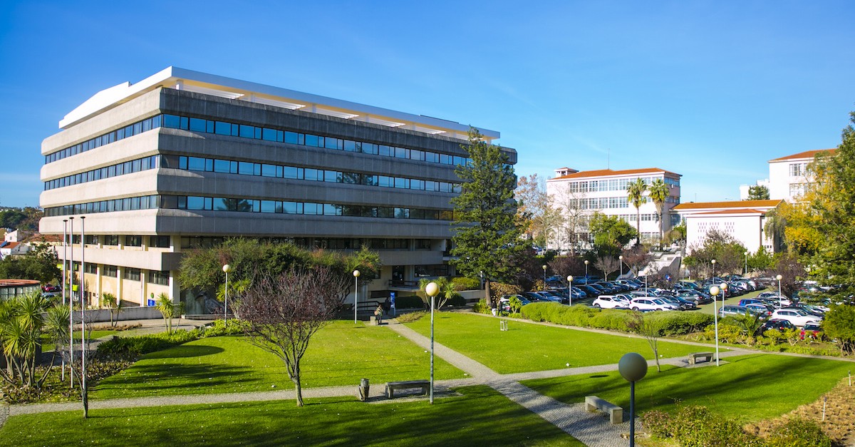 universidade católica