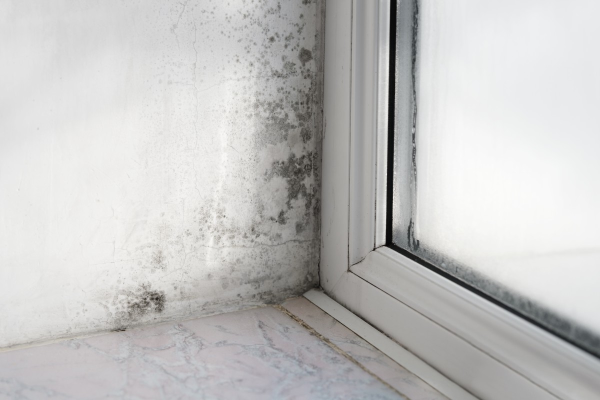 materiais resistentes à humidade