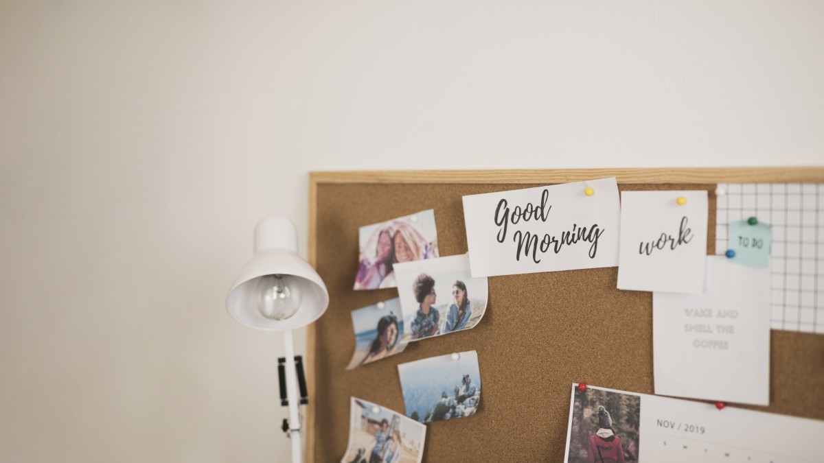 paineis de cortiça isolamento acústico