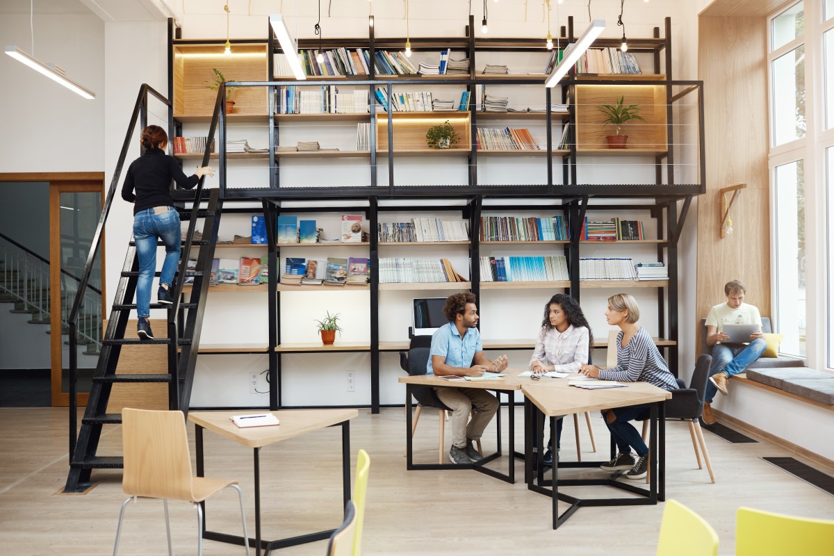 libreria bifacciale
