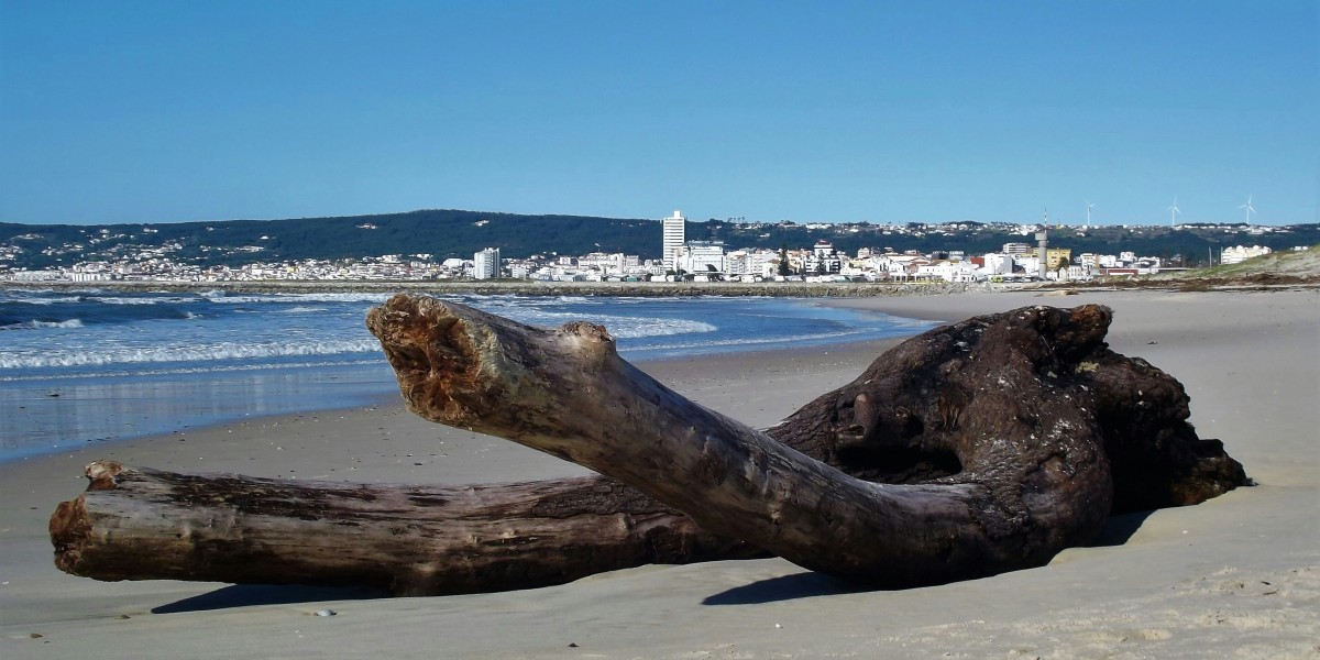 Where rent is rising and falling fastest in Portugal 2026 — idealista/news