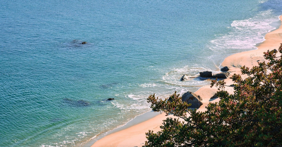 littoral de Comporta