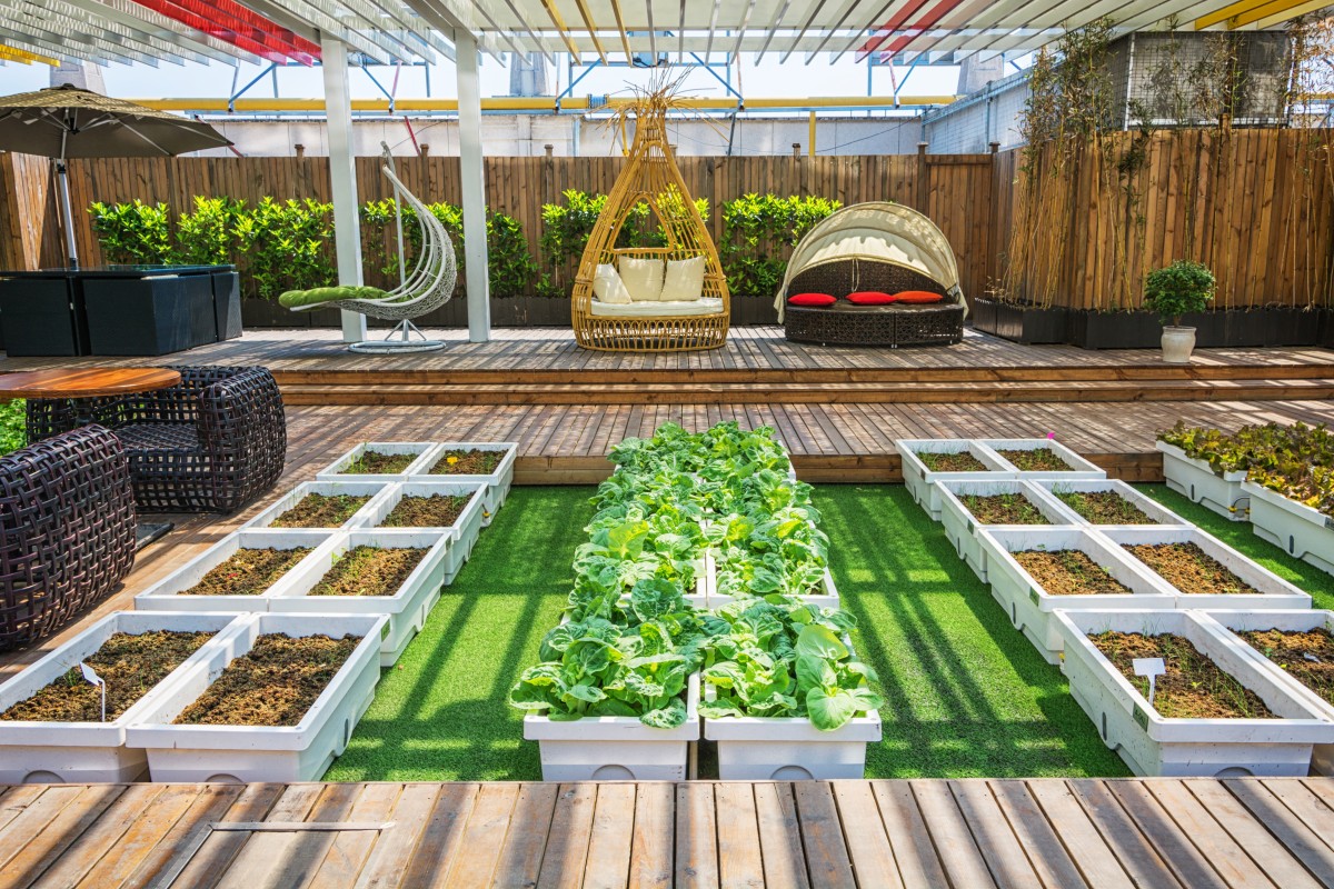 Renovar o jardim
