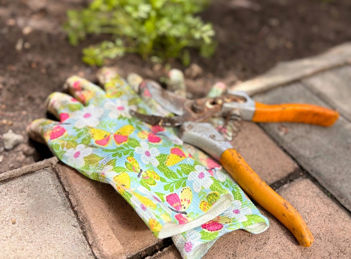 kit de jardinagem