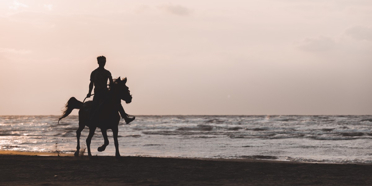 Passeio a Cavalo