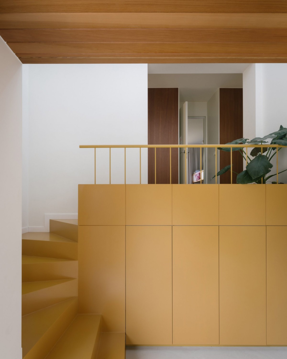Escada ocre