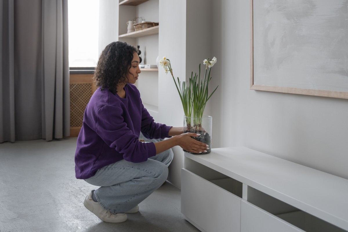 Plantas em casa