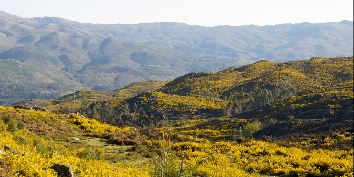 Peneda‑Gerês National Park trails