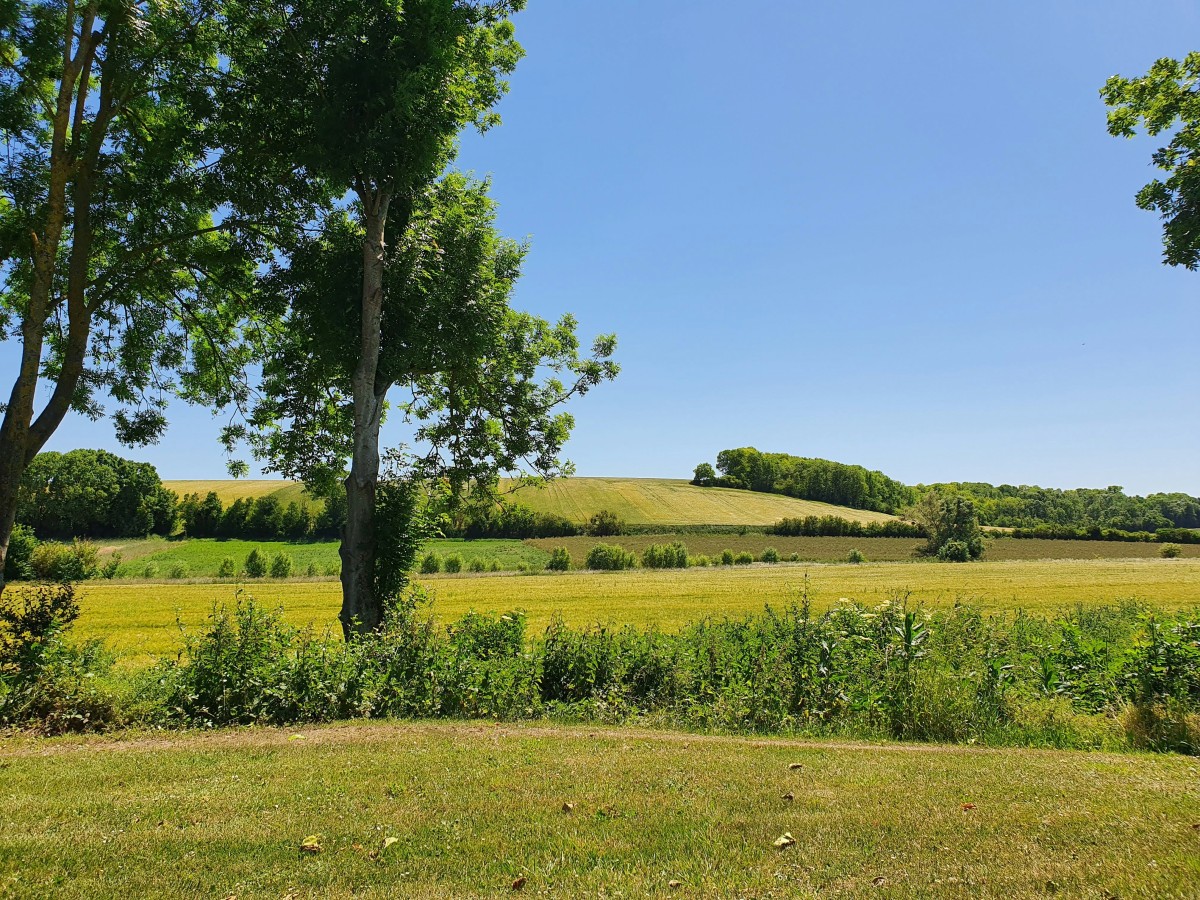 limpar terrenos