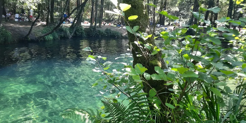 Lagoa da Esturranha