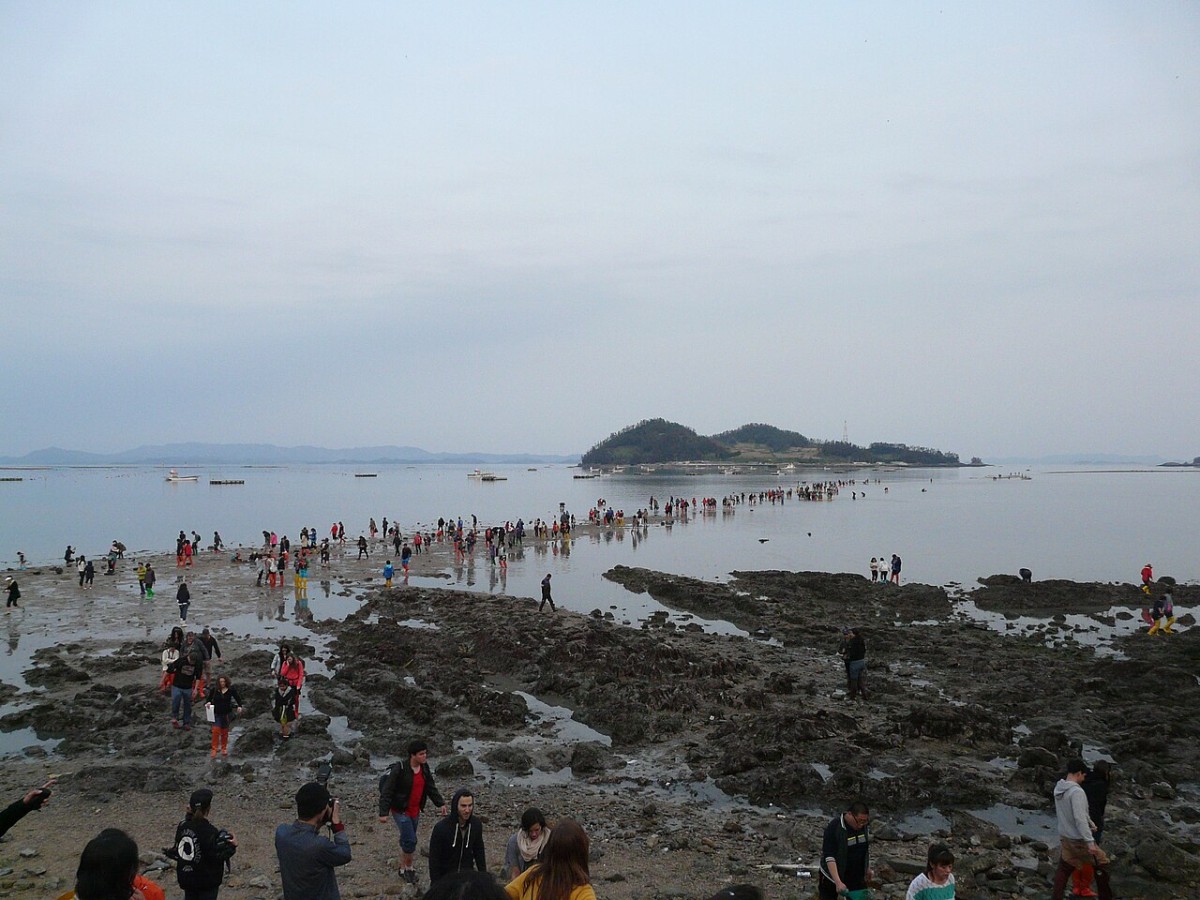 Sea Road