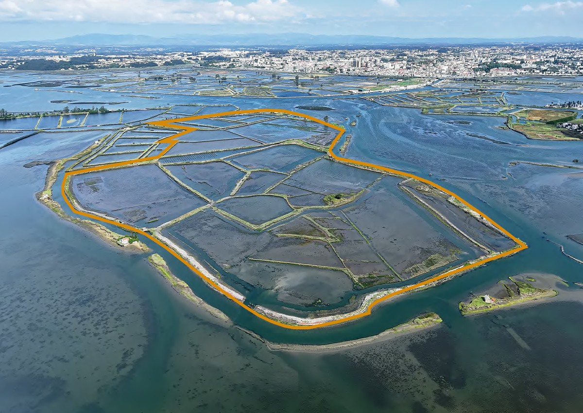 Island of the Pullers